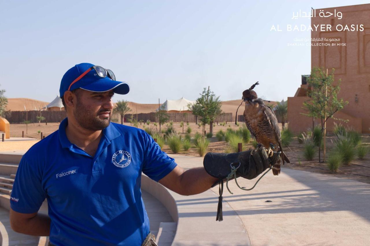 Al Badayer Retreat By Sharjah Collection Hotel Margham Екстериор снимка Falconry in Al-Jahili Fort, Al-Ahsa, Saudi Arabia